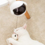 Electric Interactive Cat Toy