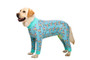 Cartoon Printed Dog Pajama