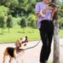 LED Retractable Dog Leashes