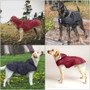 Raincoat with Hood for Dogs