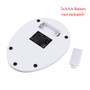 Portable Digital LED Weighing Scale