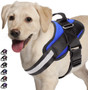 Best Dog Harnesses for an Easier Walk