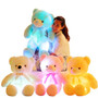 Amazing LED Plush Teddy Bears