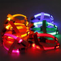 Light Up Dog Harness No Pull LED Rechargeable Light by SafeDogz