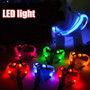 Light Up Dog Harness No Pull LED Rechargeable Light by SafeDogz