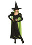 Witch Costume