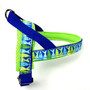 Personalized One-Click Dog Harness