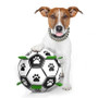 Dog Football Toy For Training