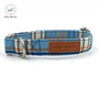 Fashion Blue Plaid Dog Bowtie & Leash Set