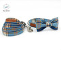 Fashion Blue Plaid Dog Bowtie & Leash Set