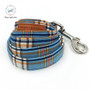 Fashion Blue Plaid Dog Bowtie & Leash Set