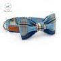 Fashion Blue Plaid Dog Bowtie & Leash Set