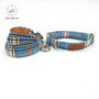 Fashion Blue Plaid Dog Bowtie & Leash Set