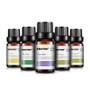 Essential Oil（10 ml） for Diffuser, Aromatherapy Oil Humidifier 6 Kinds