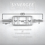 Synergee Tricep Bars