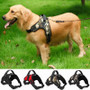 Heavy Duty, Adjustable, Dog Collar Harness