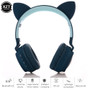 LED Cat Ear Noise Cancelling Headphones