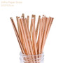 Rose Gold Party Disposable Tableware Set