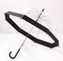 BUILDING SUPER arch Apollo princess transparent umbrella semi-automatic creative curved hook straight rod UMBRELLA