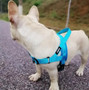 Dog Harness Easy On and Off Adjustable Reflective Medium/Large dogs