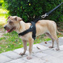Dog Harness Easy On and Off Adjustable Reflective Medium/Large dogs