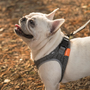 Dog Harness Pet Adjustable Reflective Lightweight Breathable
