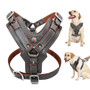Large Dogs Genuine Leather Harness Durable Adjustable