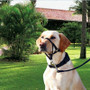 Nylon Dog Head Collar Pet Gentle Leader No Pain No Pull Control