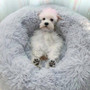 Comfy Calming Dog/Cat Bed