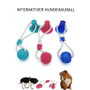 Pet Molar Bite Toy with Suction Cup