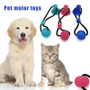 Pet Molar Bite Toy with Suction Cup