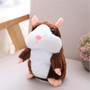 Talking Hamster Toy