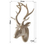 Wildlife Animal Head Wall Art