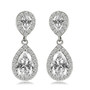 Long Brilliant Water Drop Cubic Zirconia Bridal Earrings