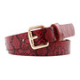Female Belt Cummerbund