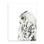 Owl Minimal Wall Art