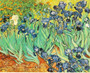 Van Gogh Impressions - DIY Painting