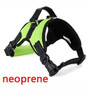 Large Dog Harness