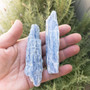 Blue Kyanite Blades