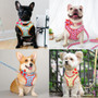 Custom Printed Dog Collar Leash Harness Set