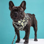 French Bulldog Harness Leash and Collar Set