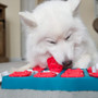 Treasure Box Leaking Food Puppy Dog Interactive - Dog Toys