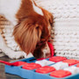 Treasure Box Leaking Food Puppy Dog Interactive - Dog Toys