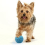 Rubber Play Balls - Dog Toys