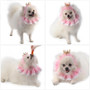 Princess Design Hat and Bib for Cats and Dogs