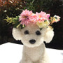 Elegant Flower Headband for Dogs