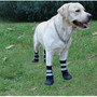 Black Blue Red Best Dog Boots for Winter | Dog Shoes