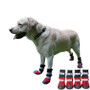 Black Blue Red Best Dog Boots for Winter | Dog Shoes