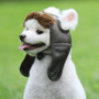 Winter Dog Hat - Unique Dog Gifts Hat for Dogs
