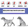 Dog Collar - Pest Repellent Best Flea Collar of Dogs | Dog Mosquito Repellent Collar